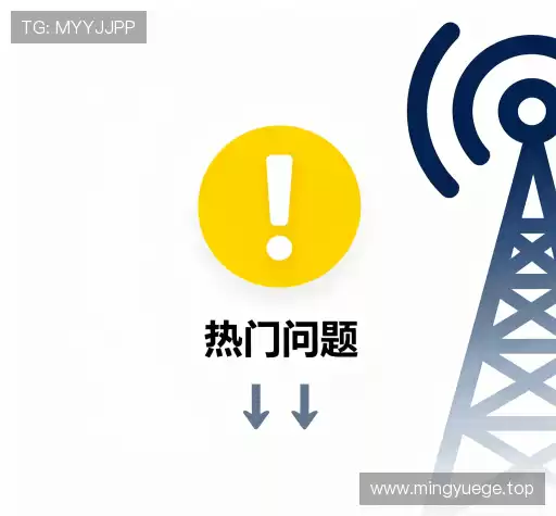 常见疑问集